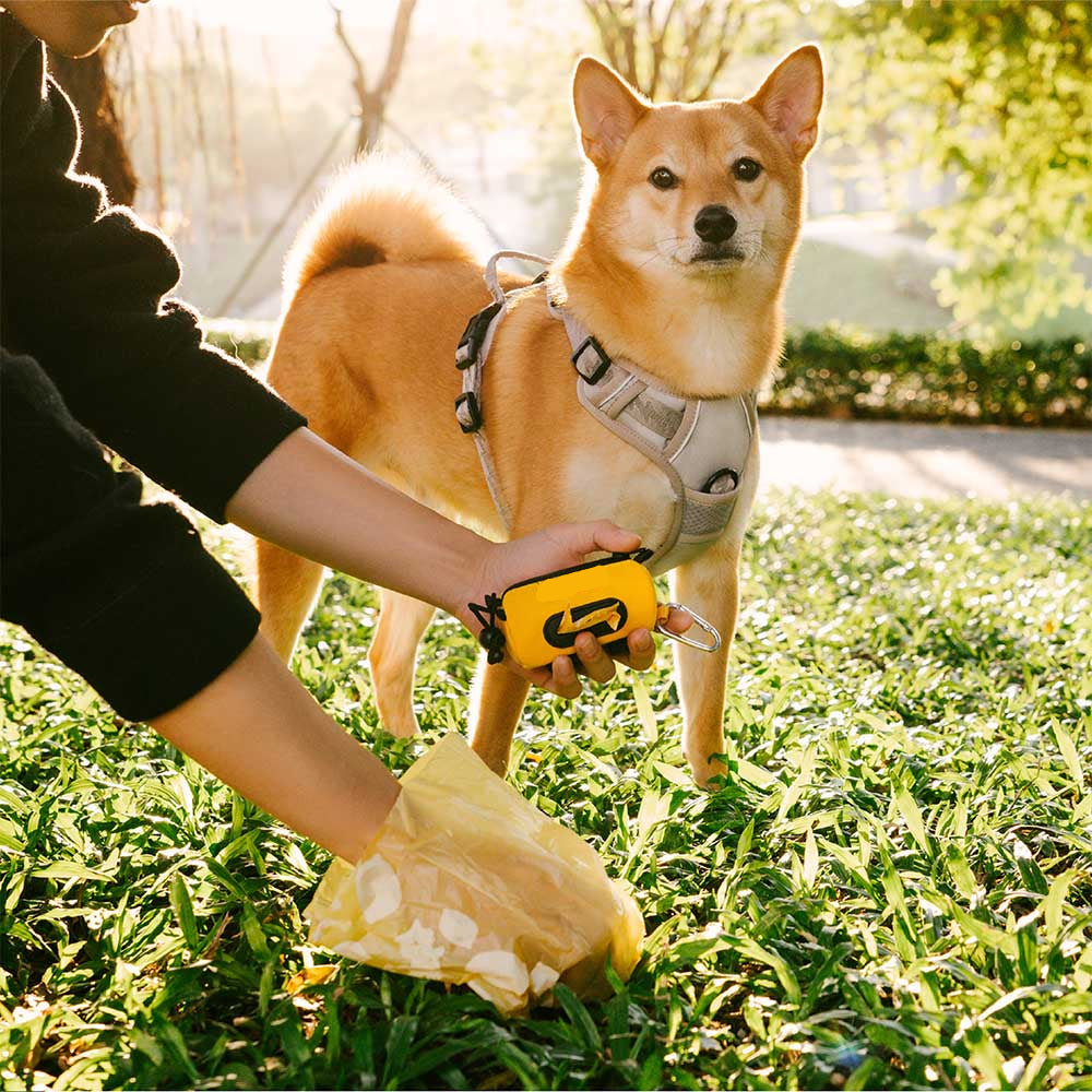 Person holding a yellow dog waste bag dispenser with a Shiba Inu dog on a grassy path.