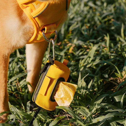Yellow dog training device on a dog in a grassy field