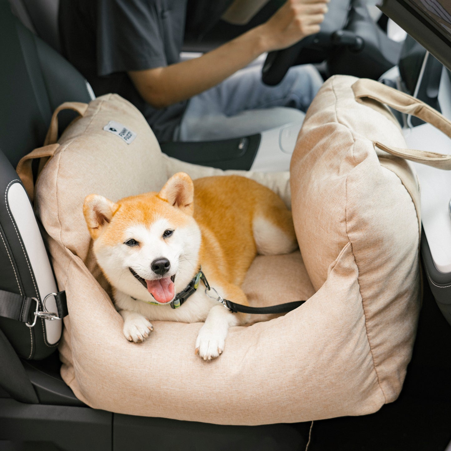 Dog Car Seat Bed – First Class Booster with Safety Belt, Washable Cushion & Travel Carrier