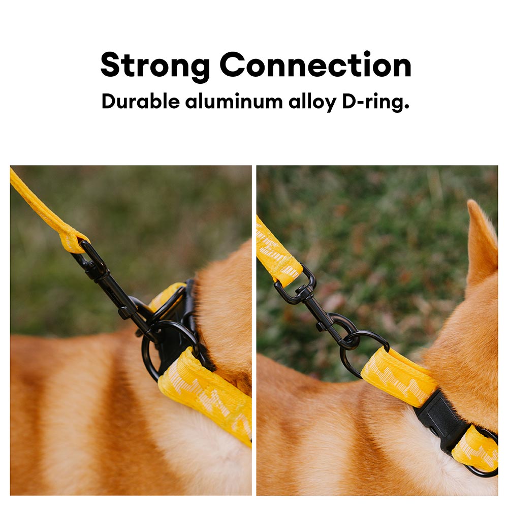 Adjustable Nylon Dog Collar – Reflective, Comfy, Durable