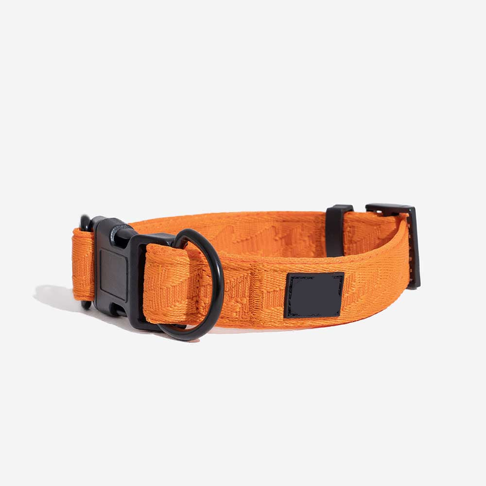 Adjustable Nylon Dog Collar – Reflective, Comfy, Durable
