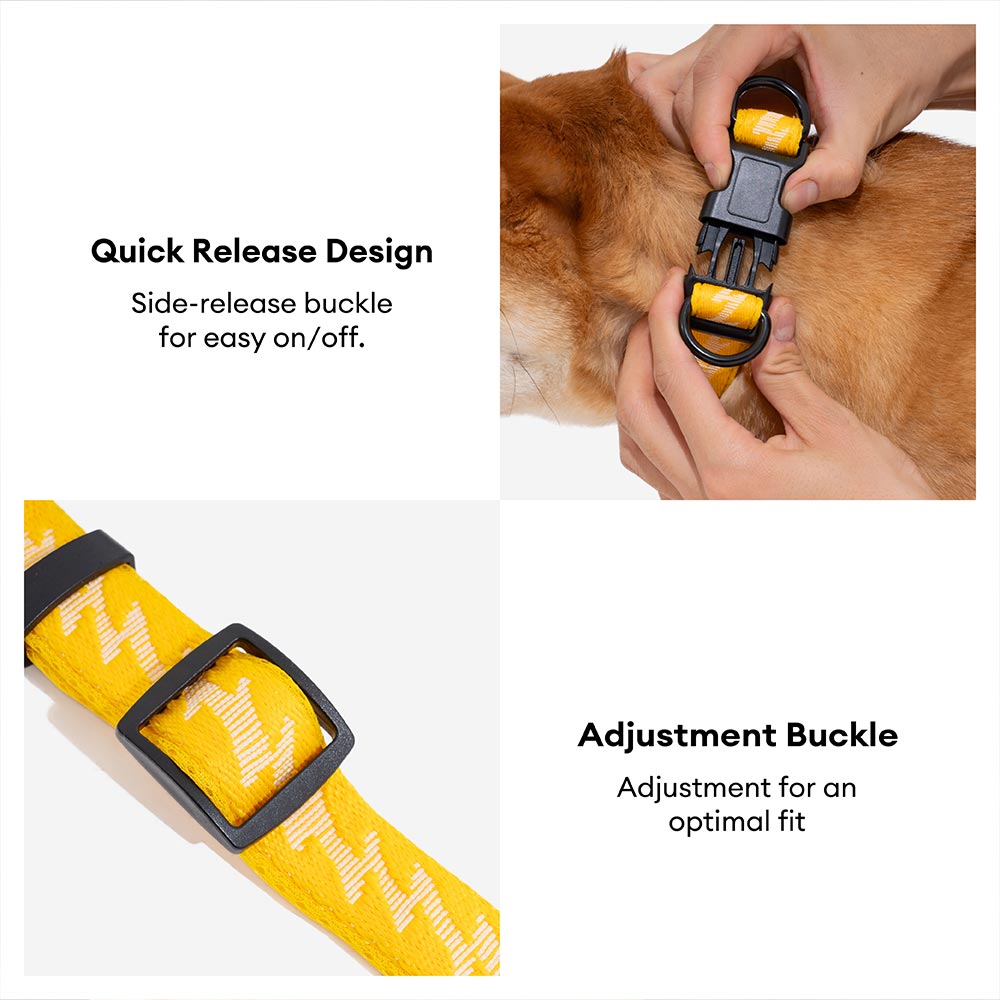 Adjustable Nylon Dog Collar – Reflective, Comfy, Durable