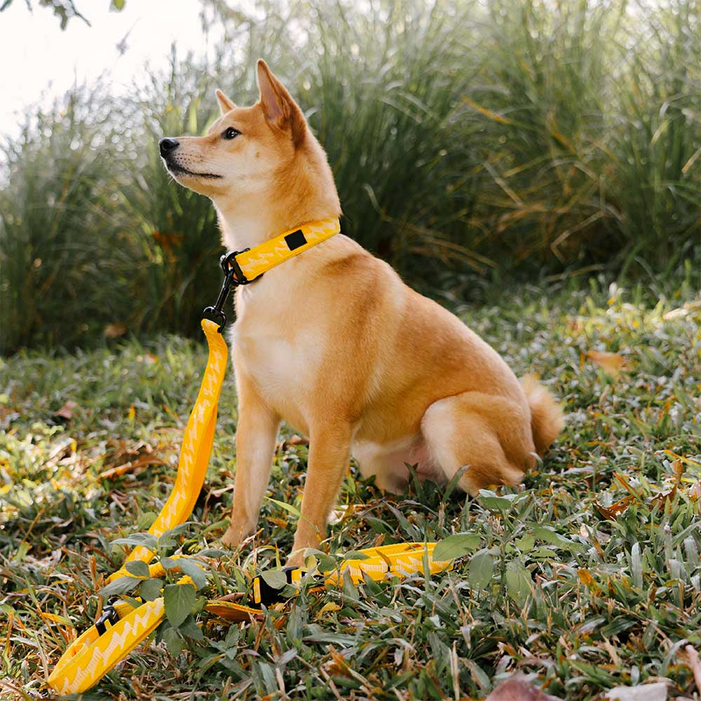 Adjustable Nylon Dog Collar – Reflective, Comfy, Durable