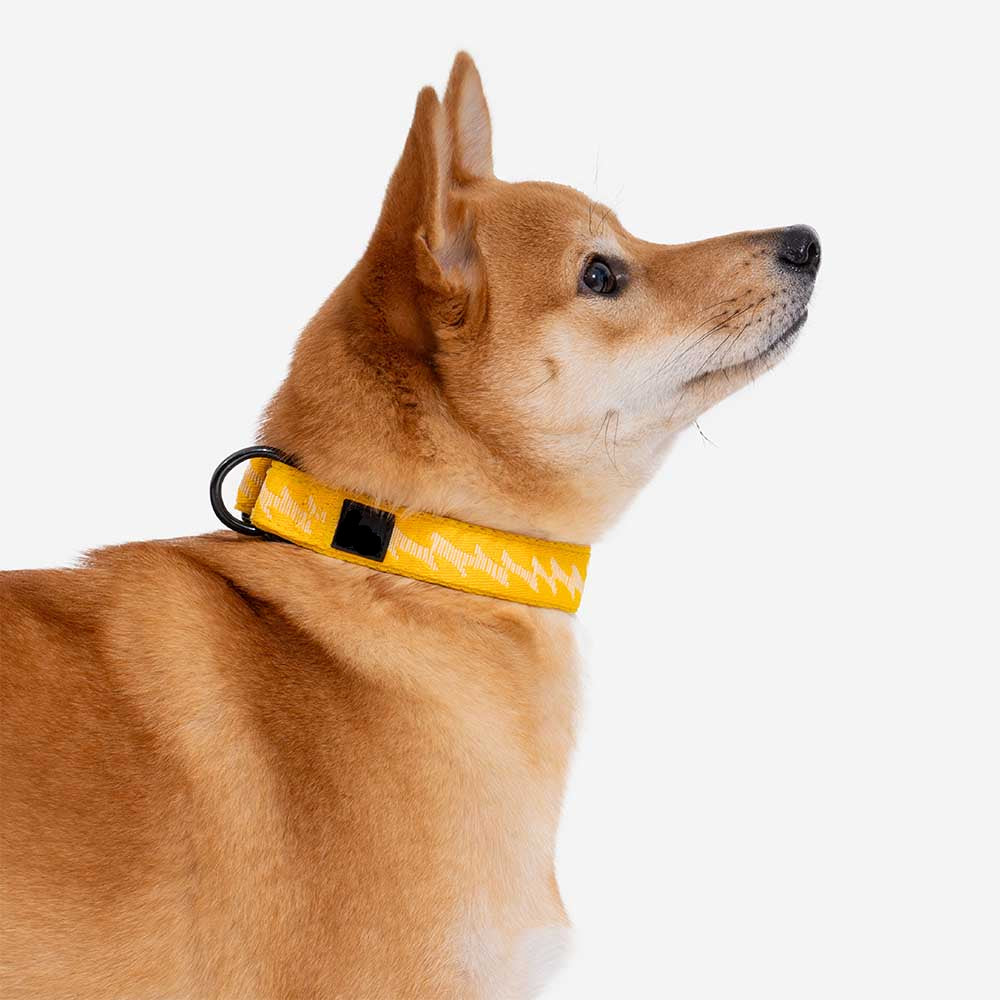 Adjustable Nylon Dog Collar – Reflective, Comfy, Durable