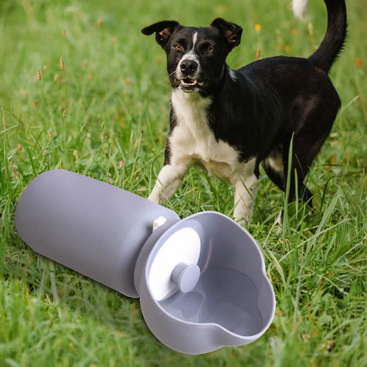 Folding Dog Water Bottle – Soft Silicone, Leak-Proof, 500 ml