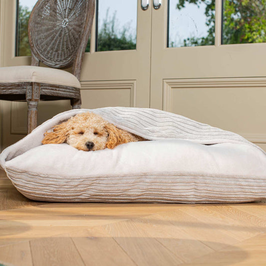 Burrow Dog Bed – Light Grey Plush Sleepy Bed with Hooded Cover & Washable Cushion by Lords & Labradors