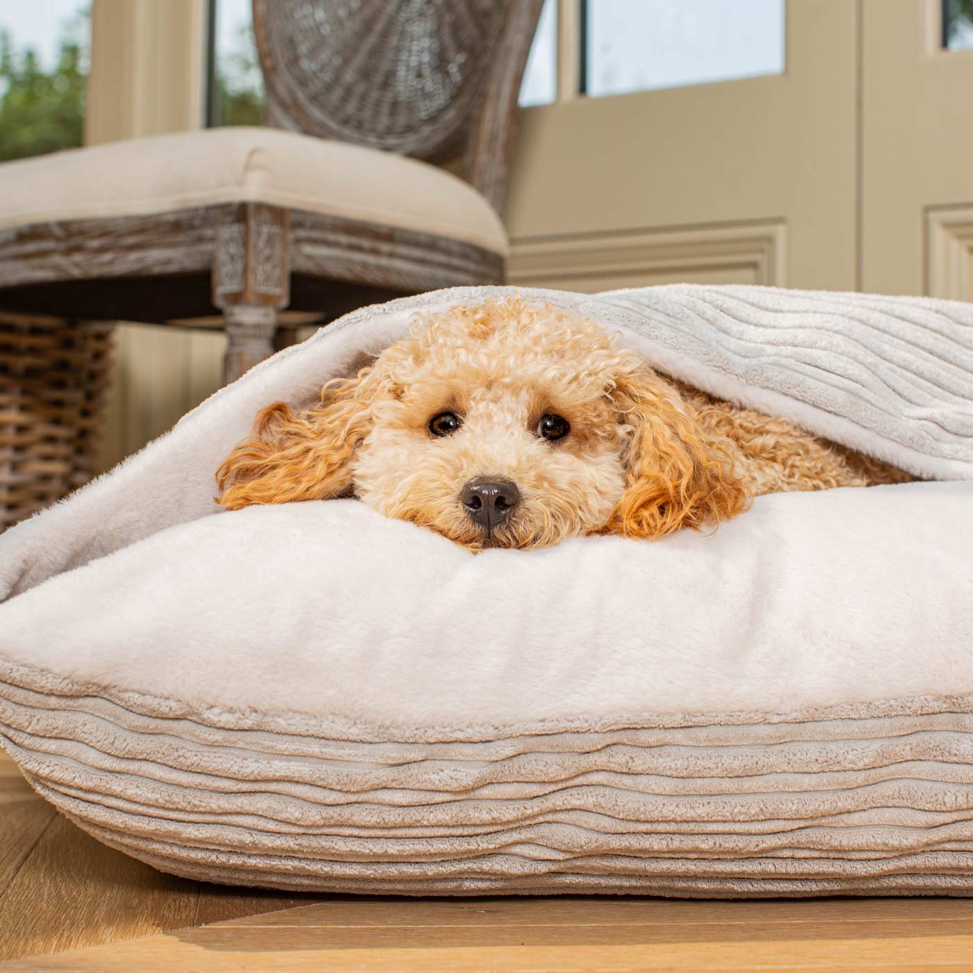 Burrow Dog Bed – Light Grey Plush Sleepy Bed with Hooded Cover & Washable Cushion by Lords & Labradors