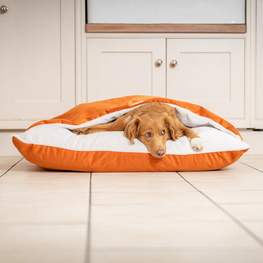 Burrow Dog Bed – Sleepy Pumpkin Velvet Hooded Luxury Sofa with Removable Washable Cover