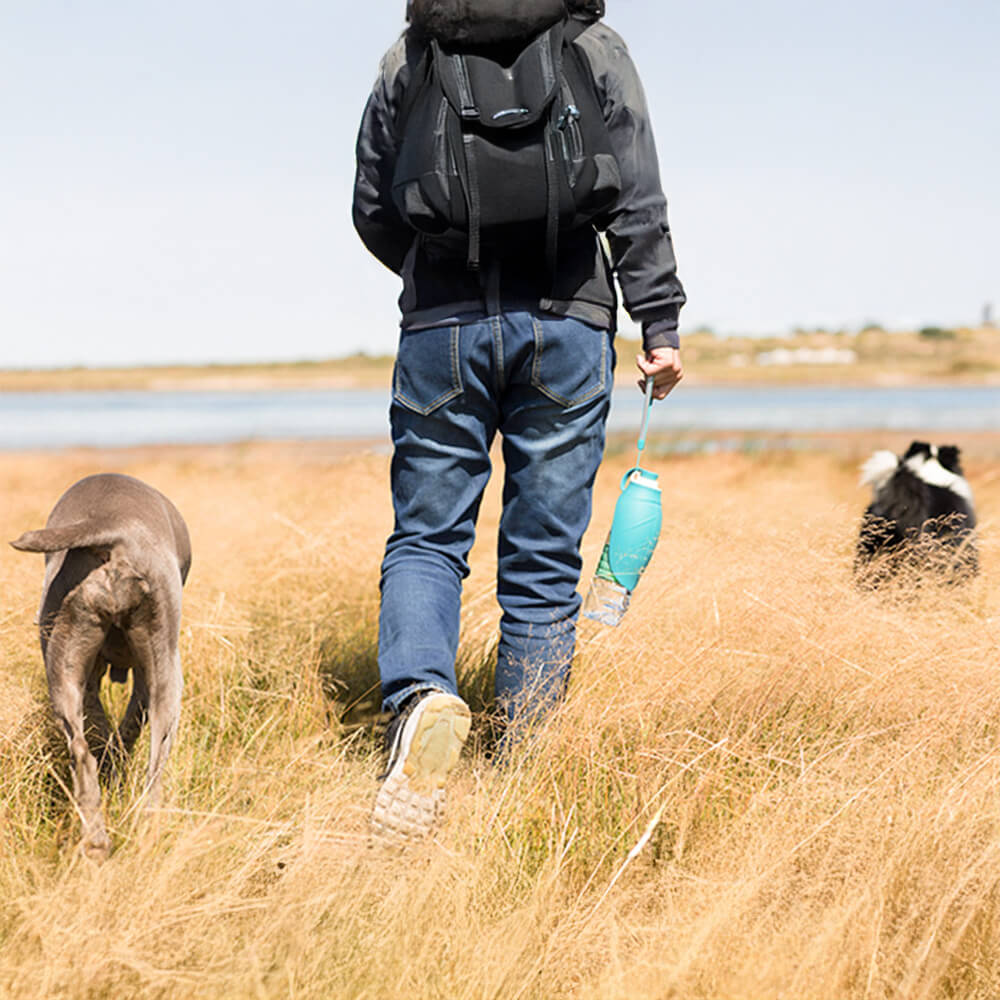 Leaf-Shaped Dog Water Bottle – Foldable, Leak-Proof
