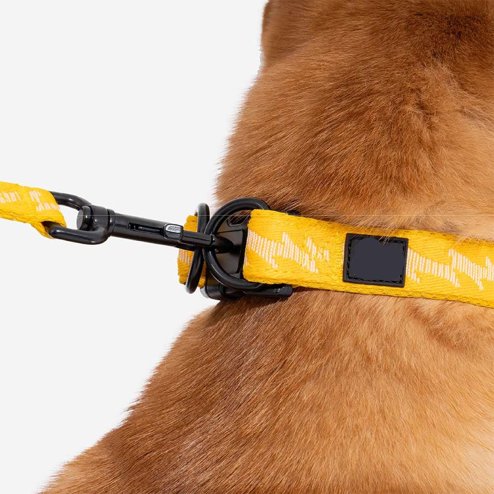 Adjustable Nylon Dog Collar – Reflective, Comfy, Durable - mafooouk