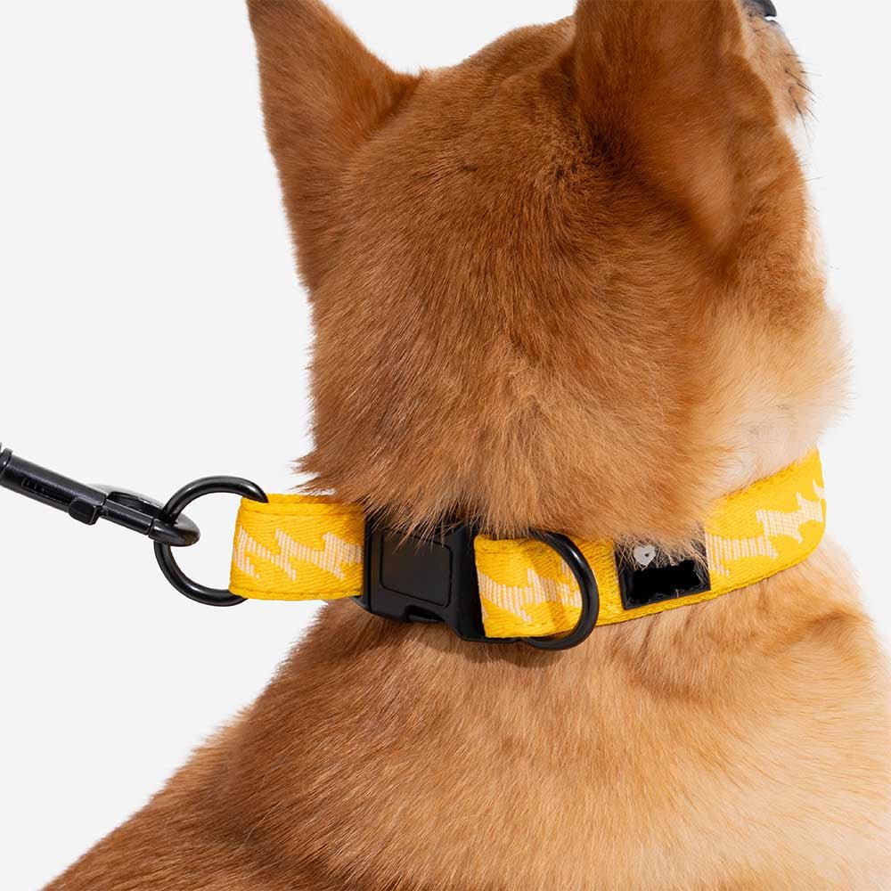 Adjustable Nylon Dog Collar – Reflective, Comfy, Durable - mafooouk