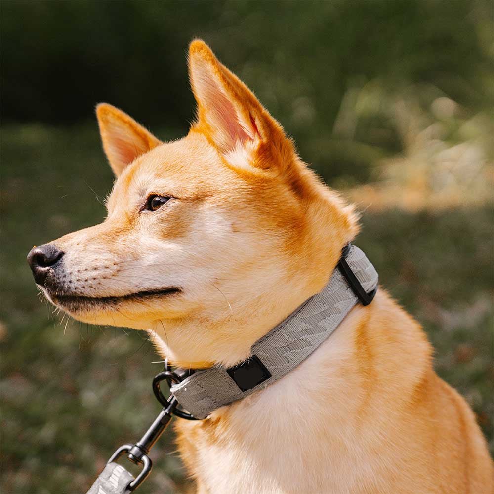 Adjustable Nylon Dog Collar – Reflective, Comfy, Durable - mafooouk