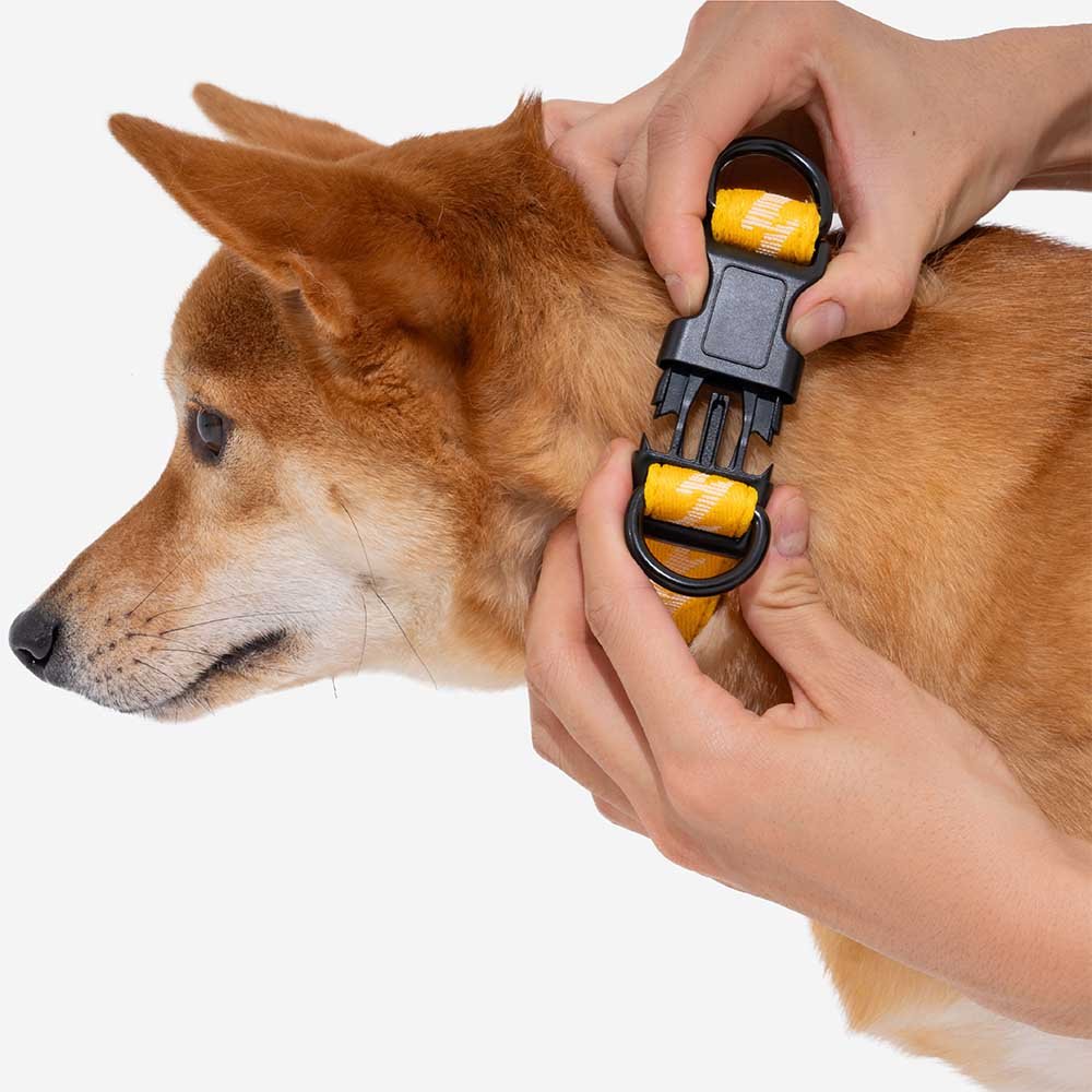 Adjustable Nylon Dog Collar – Reflective, Comfy, Durable - mafooouk