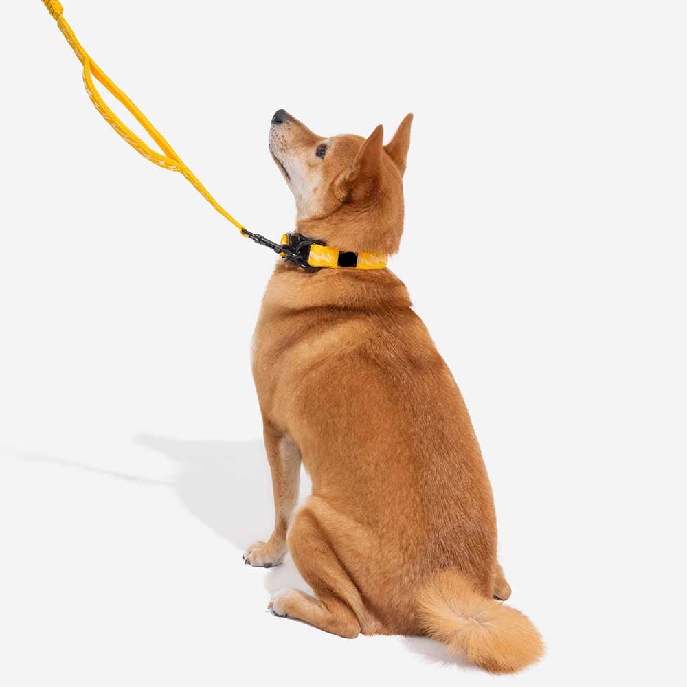 Adjustable Nylon Dog Collar – Reflective, Comfy, Durable - mafooouk