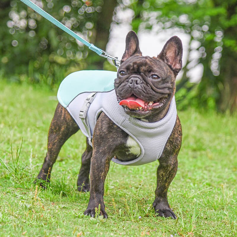 Breathable Vest For Sunstroke Prevention Water - soakable Dog Cooling Vest - mafooouk