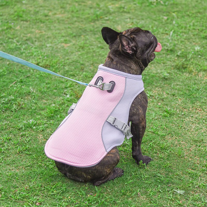 Breathable Vest For Sunstroke Prevention Water - soakable Dog Cooling Vest - mafooouk