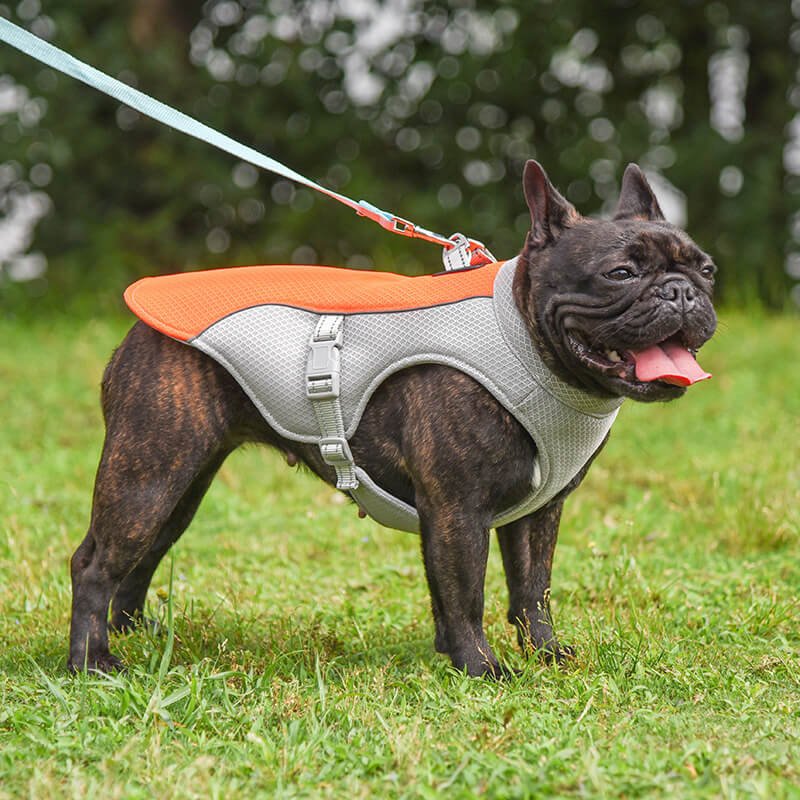 Breathable Vest For Sunstroke Prevention Water - soakable Dog Cooling Vest - mafooouk