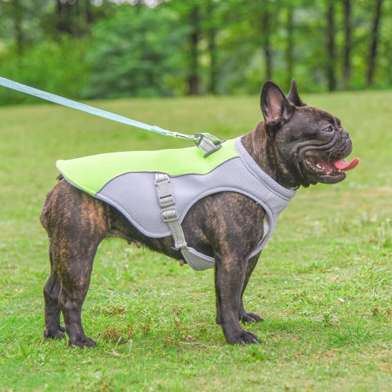 Breathable Vest For Sunstroke Prevention Water - soakable Dog Cooling Vest - mafooouk