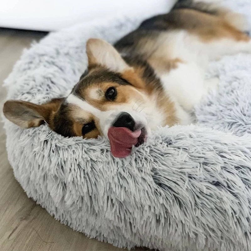 Calming Dog Bed – SnuggleNest Anti - Anxiety Plush Washable Cushion for Pets - mafooouk