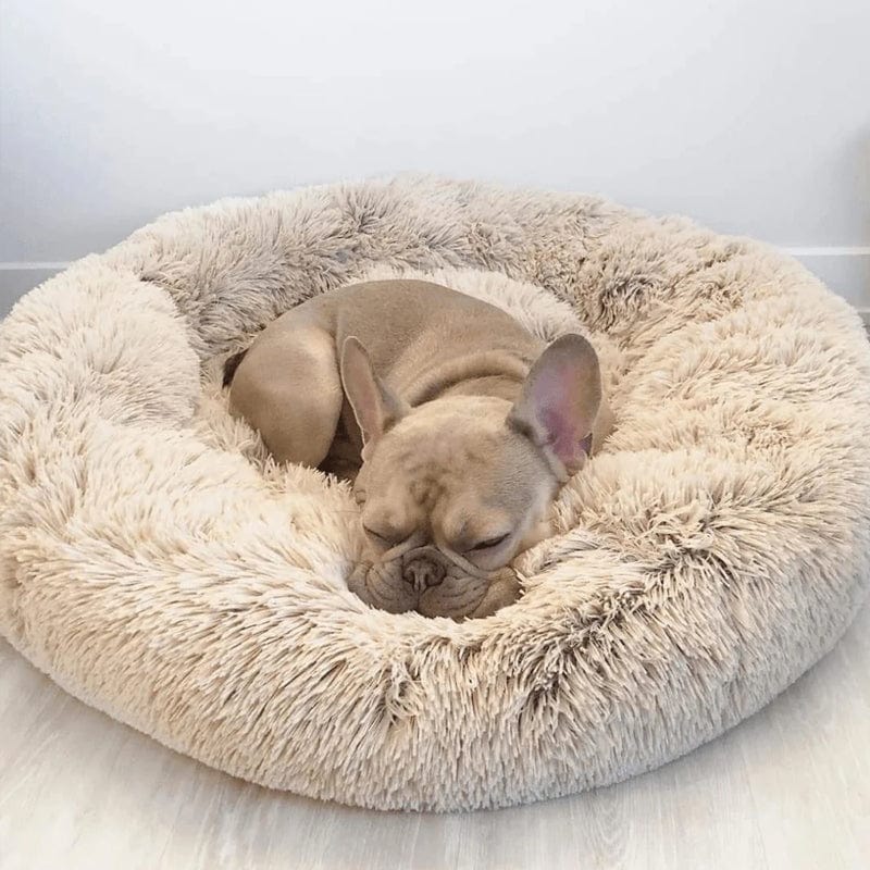 Calming Dog Bed – SnuggleNest Anti - Anxiety Plush Washable Cushion for Pets - mafooouk