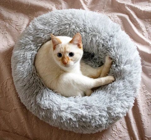 Calming Dog Bed – SnuggleNest Anti - Anxiety Plush Washable Cushion for Pets - mafooouk
