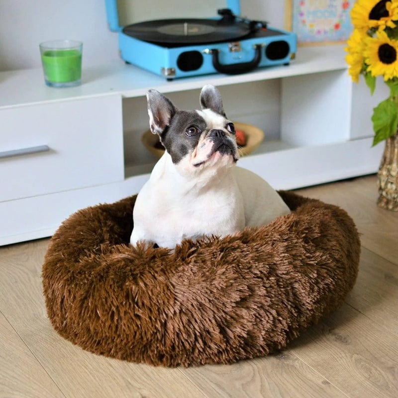 Calming Dog Bed – SnuggleNest Anti - Anxiety Plush Washable Cushion for Pets - mafooouk