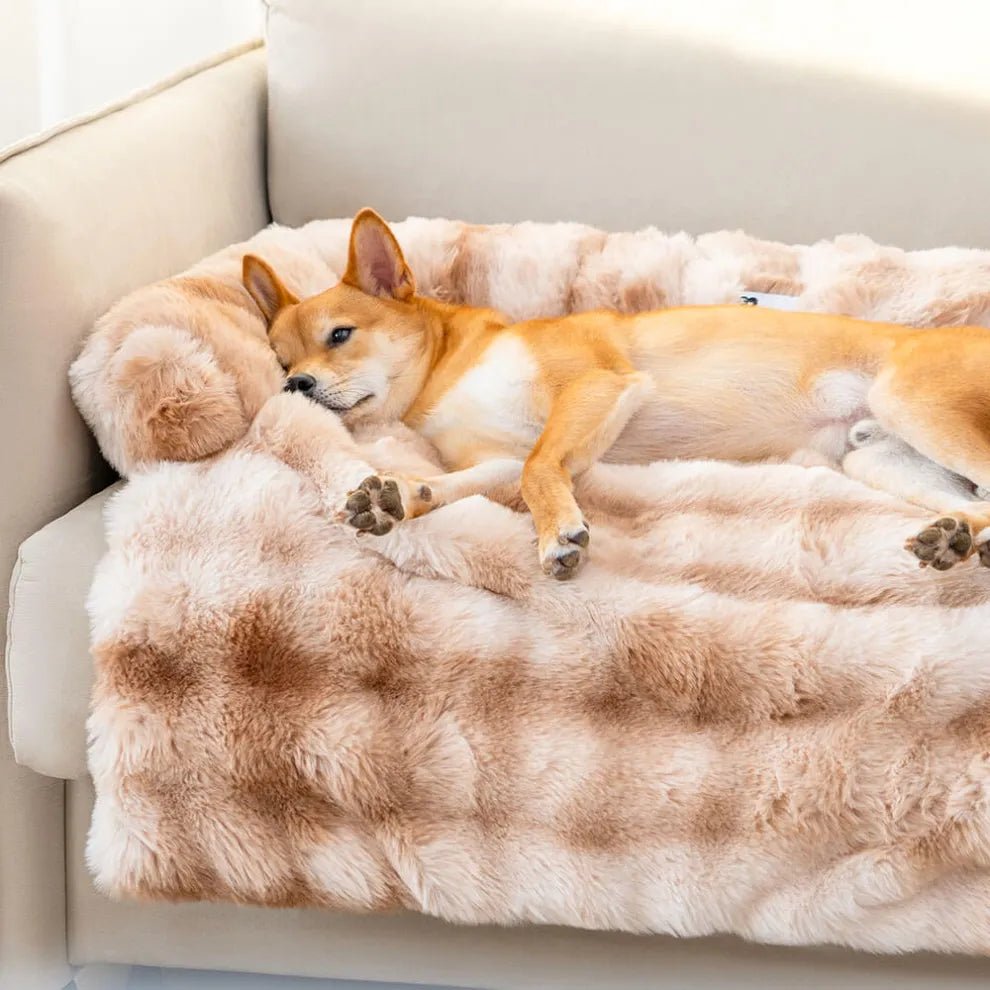 Calming Dog Bed Sofa Protector Pet Mat - mafooouk
