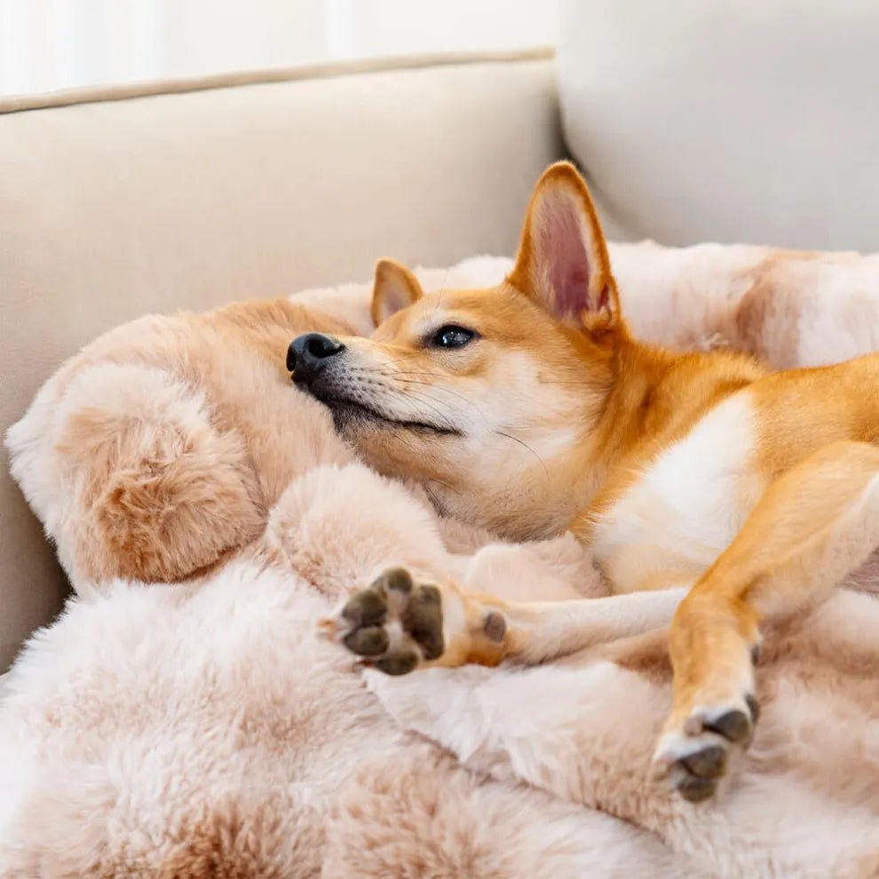 Calming Dog Bed Sofa Protector Pet Mat - mafooouk