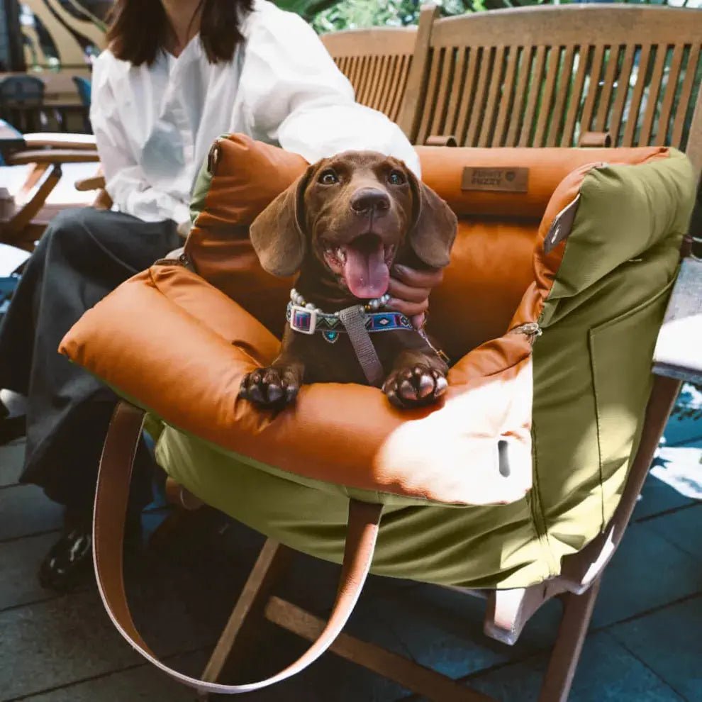 Deluxe Faux - Leather Dog Car Seat & Booster Bed with Safety Harness - mafooouk