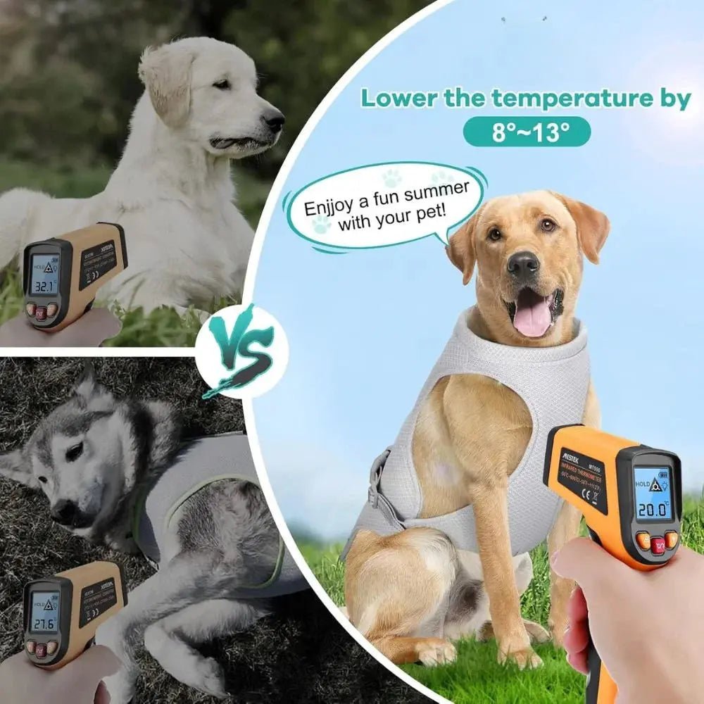 Dog Cooling Vest Harness – Breathable - mafooouk