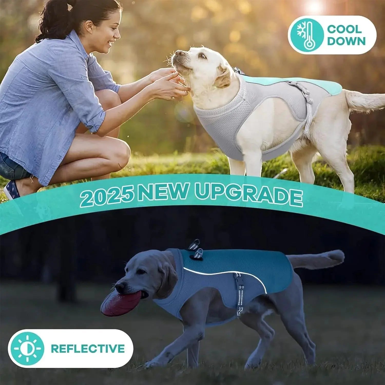 Dog Cooling Vest Harness – Breathable - mafooouk