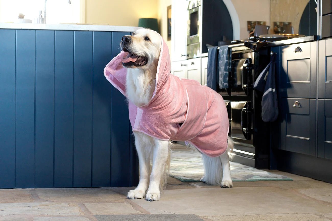 Dog Drying Coat – Double - Layer Microfibre, Super - Absorbent Quick - Dry Robe with Adjustable Belly Strap - mafooouk