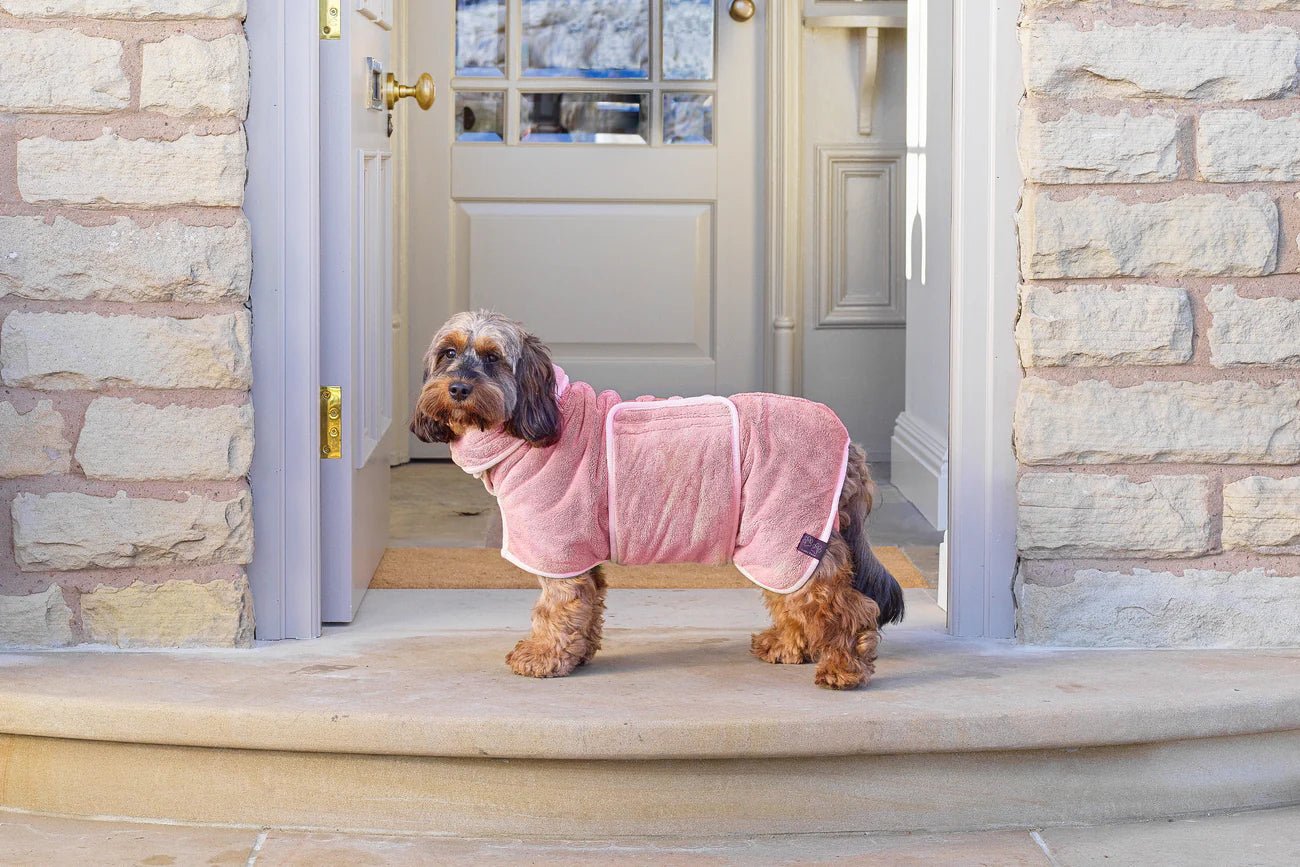 Dog Drying Coat – Double - Layer Microfibre, Super - Absorbent Quick - Dry Robe with Adjustable Belly Strap - mafooouk