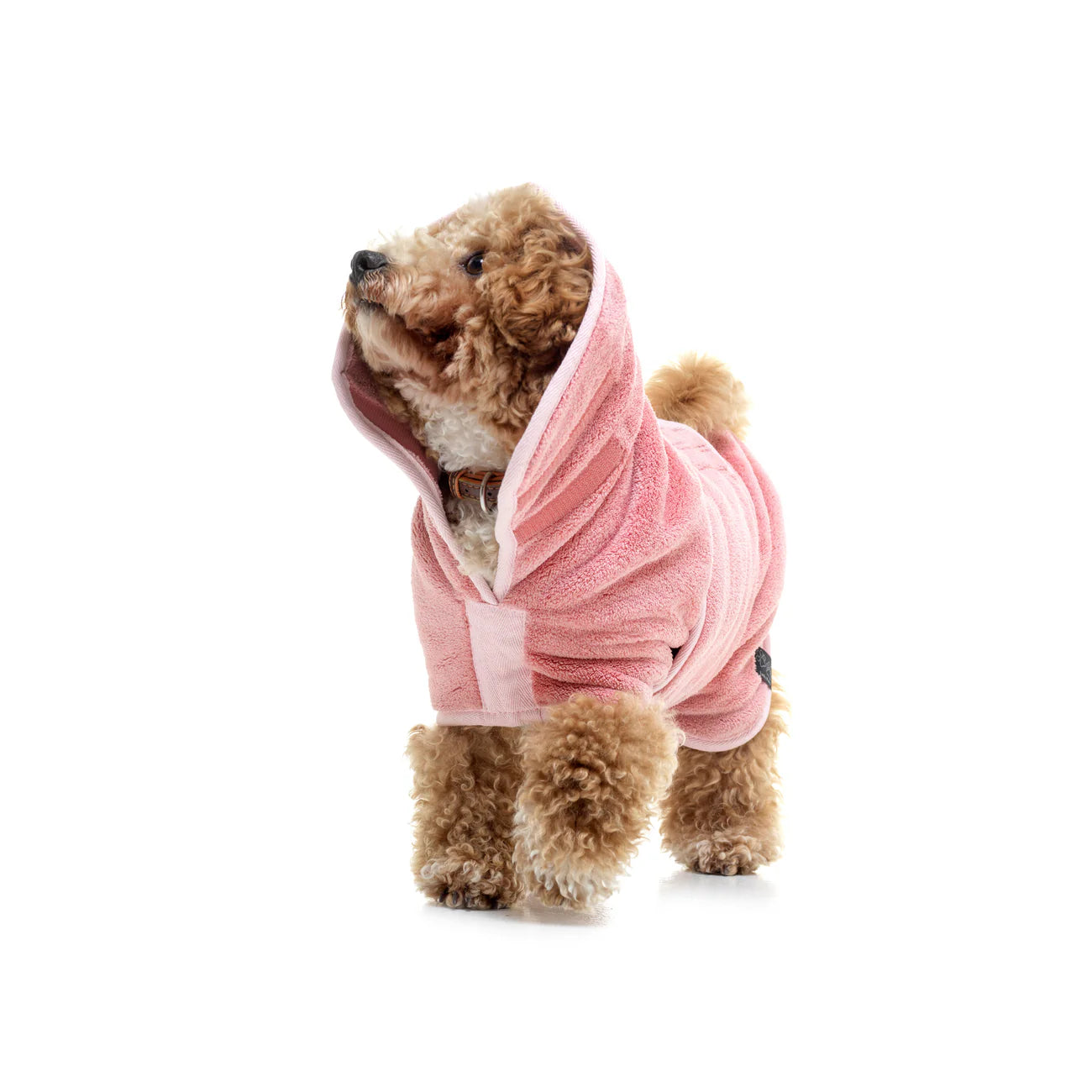 Dog Drying Coat – Double-Layer Microfibre, Super-Absorbent Quick-Dry Robe with Adjustable Belly Strap