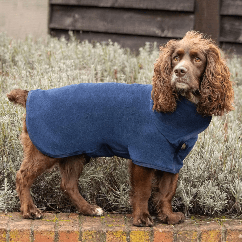 Dog Drying Robe – Super - Absorbent Microfibre, Quick - Dry, Adjustable Fit, Machine - Washable — Navy - mafooouk