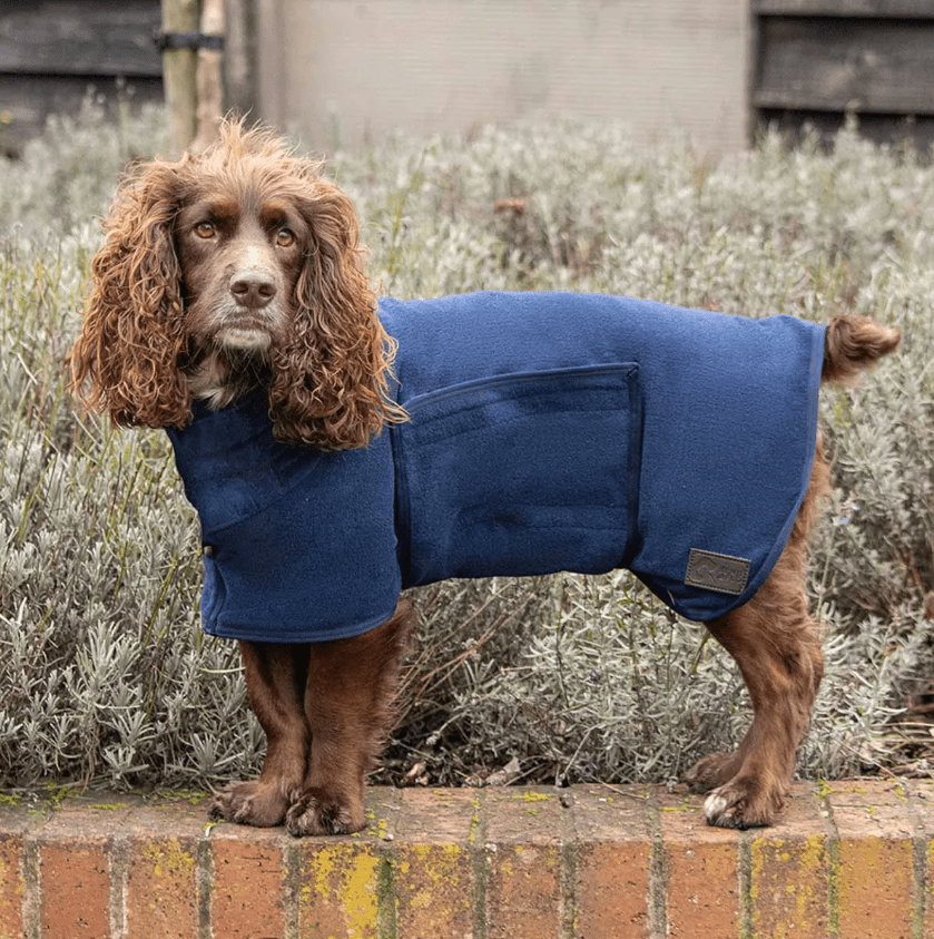 Dog Drying Robe – Super - Absorbent Microfibre, Quick - Dry, Adjustable Fit, Machine - Washable — Navy - mafooouk