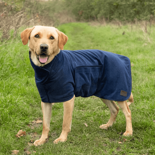 Dog Drying Robe – Super - Absorbent Microfibre, Quick - Dry, Adjustable Fit, Machine - Washable — Navy - mafooouk