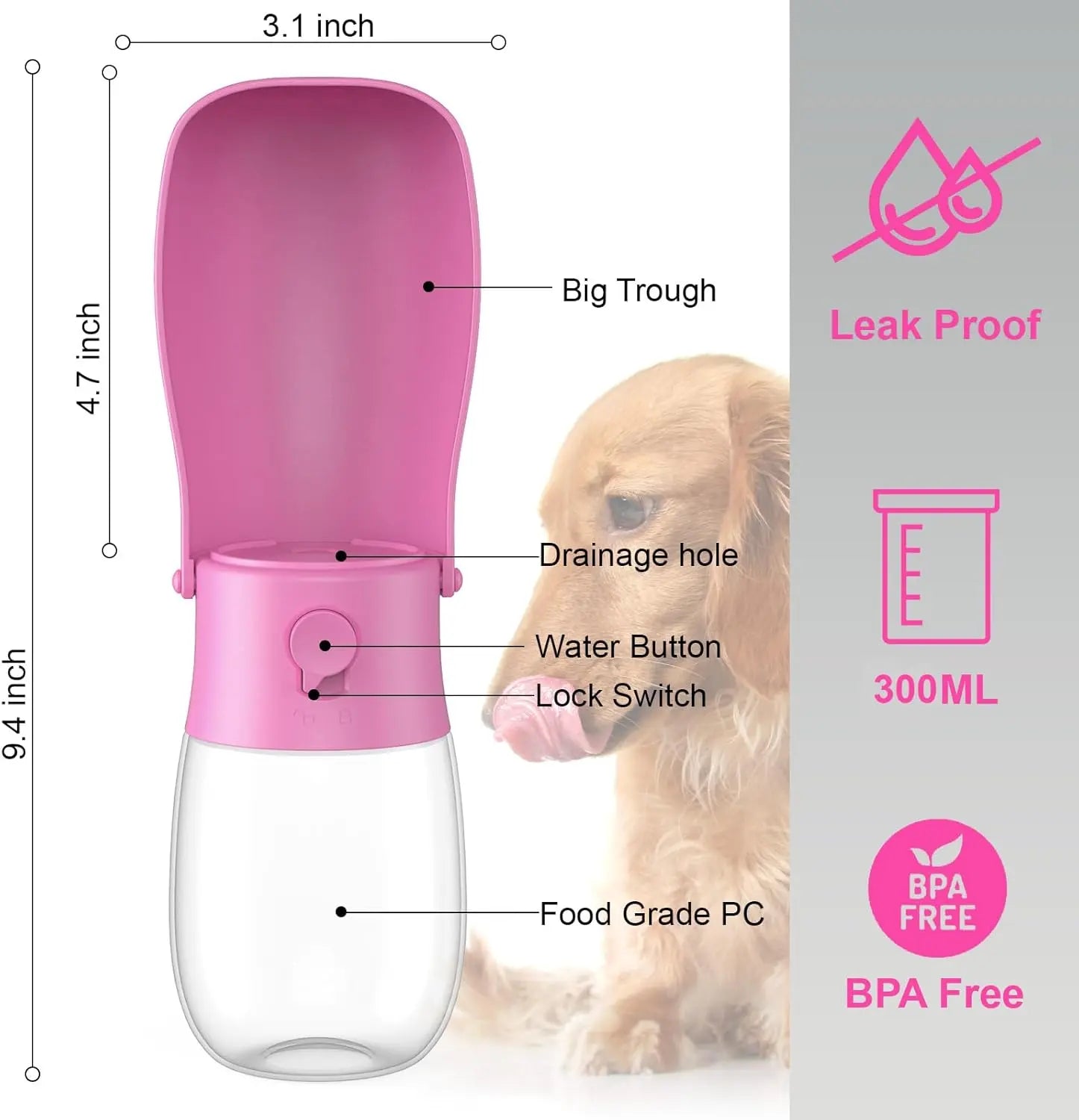 Foldable Dog Water Bottle & Travel Bowl – Leak - Proof, 300 ml - mafooouk
