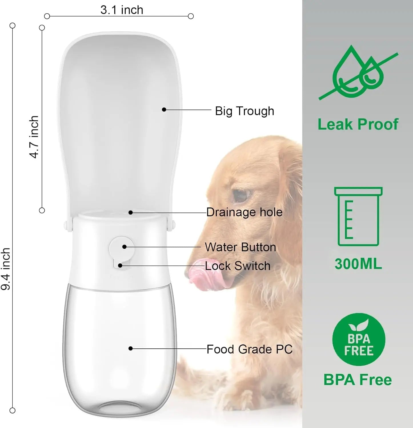 Foldable Dog Water Bottle & Travel Bowl – Leak - Proof, 300 ml - mafooouk