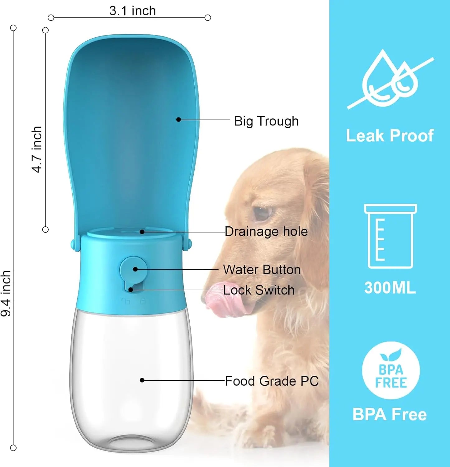 Foldable Dog Water Bottle & Travel Bowl – Leak - Proof, 300 ml - mafooouk