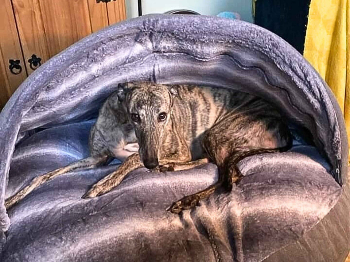 Dog Cave Bed – Grey Luxury Covered Calming Sofa with Removable Hood & Washable Cover