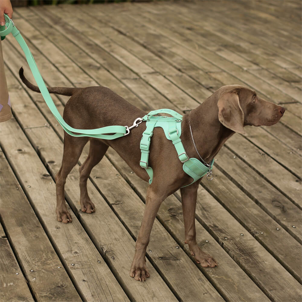 Gummy Dog Harness - mafooouk
