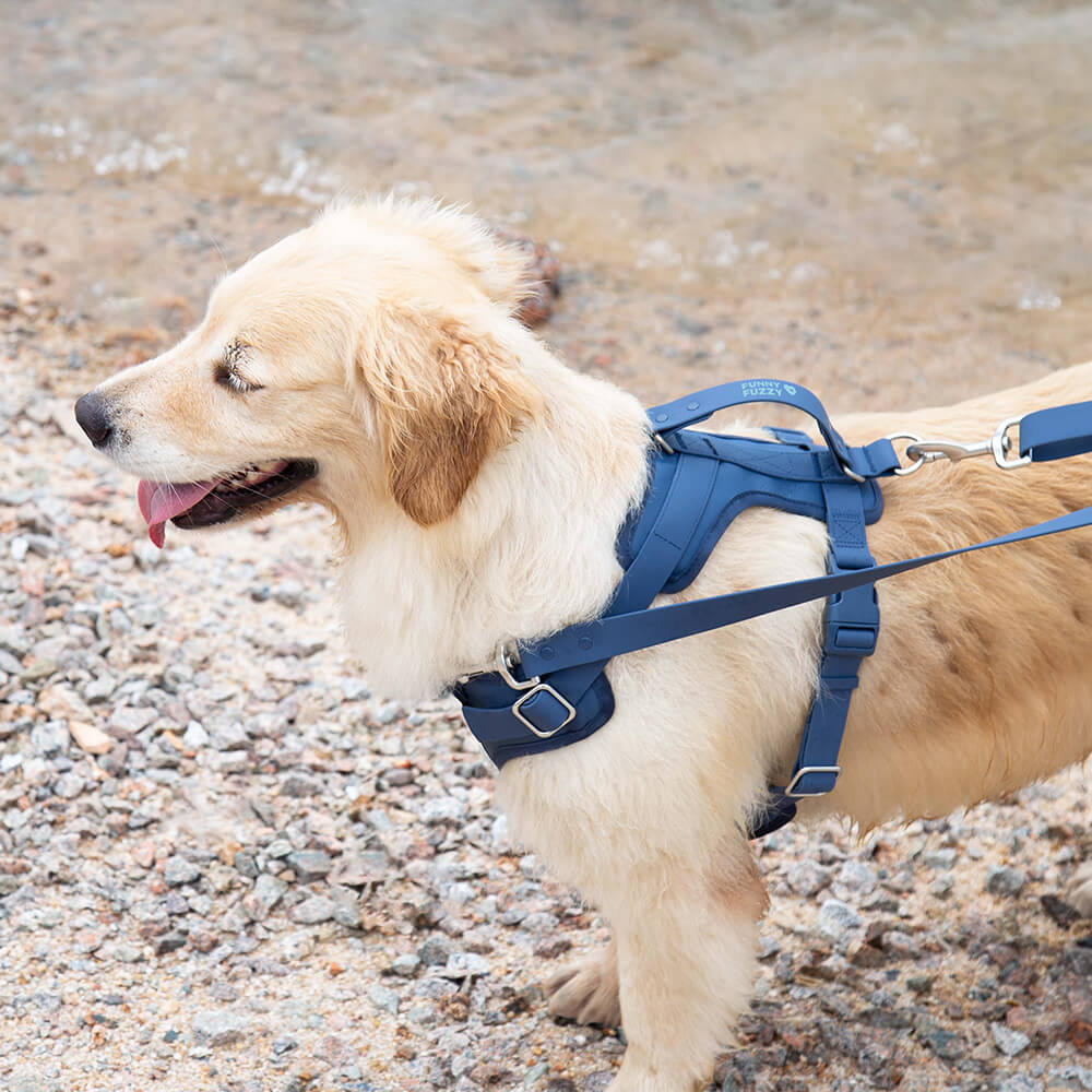 Gummy Dog Harness - mafooouk