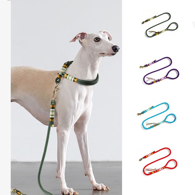 Hand - knitted Braided Rope Cool Dog Accessories Training Leash - mafooouk