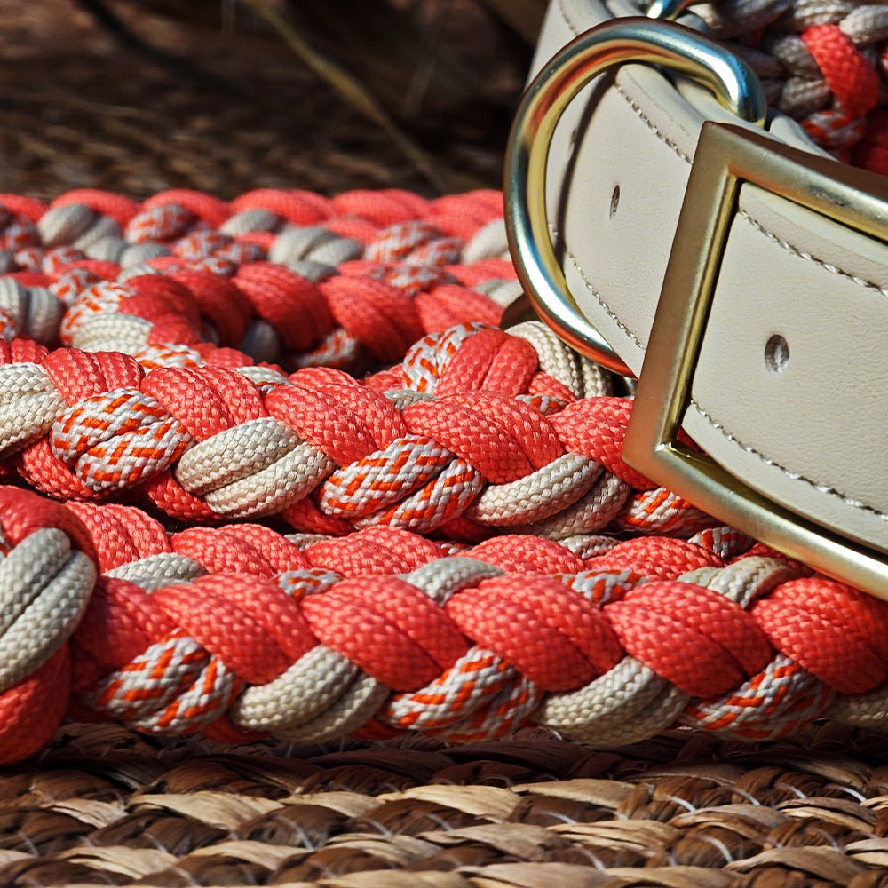 Hand - Woven Hemp Rope Dog Collar & Leash Set – Anti - Pull, 3 - in - 1 - mafooouk