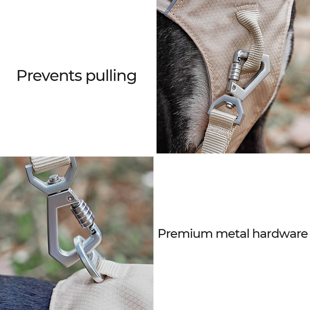 Lightweight Waterproof No - Pull Dog Harness + Leash Set - mafooouk