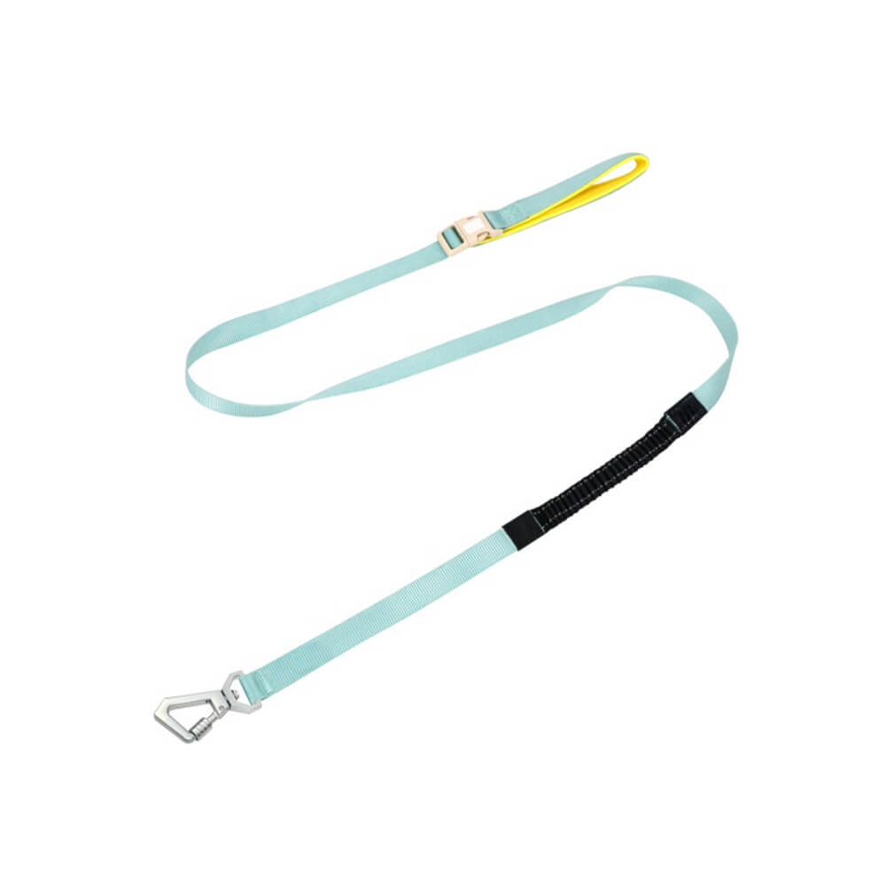 Lightweight Waterproof No - Pull Dog Harness + Leash Set - mafooouk