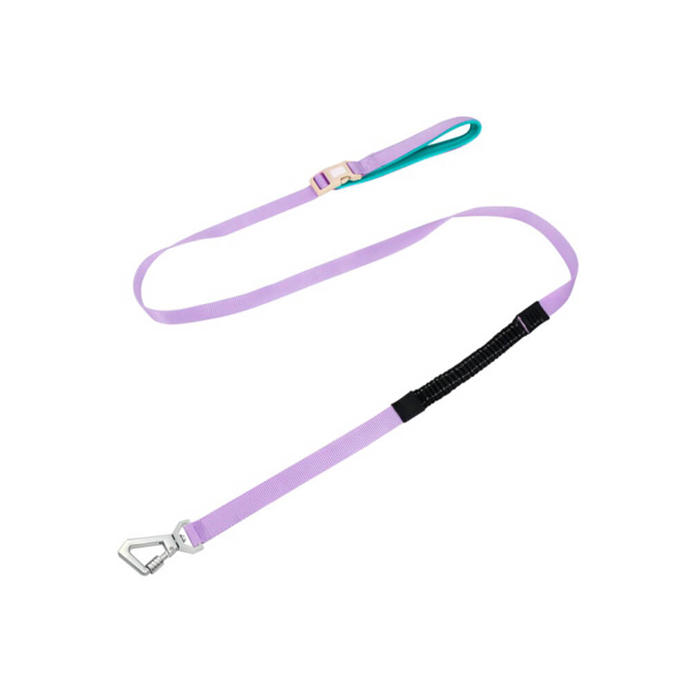 Lightweight Waterproof No - Pull Dog Harness + Leash Set - mafooouk