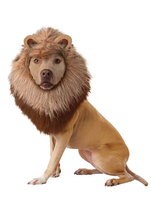 Lion Dog Costume – Plush Mane Pet Outfit for Small to Large Dogs