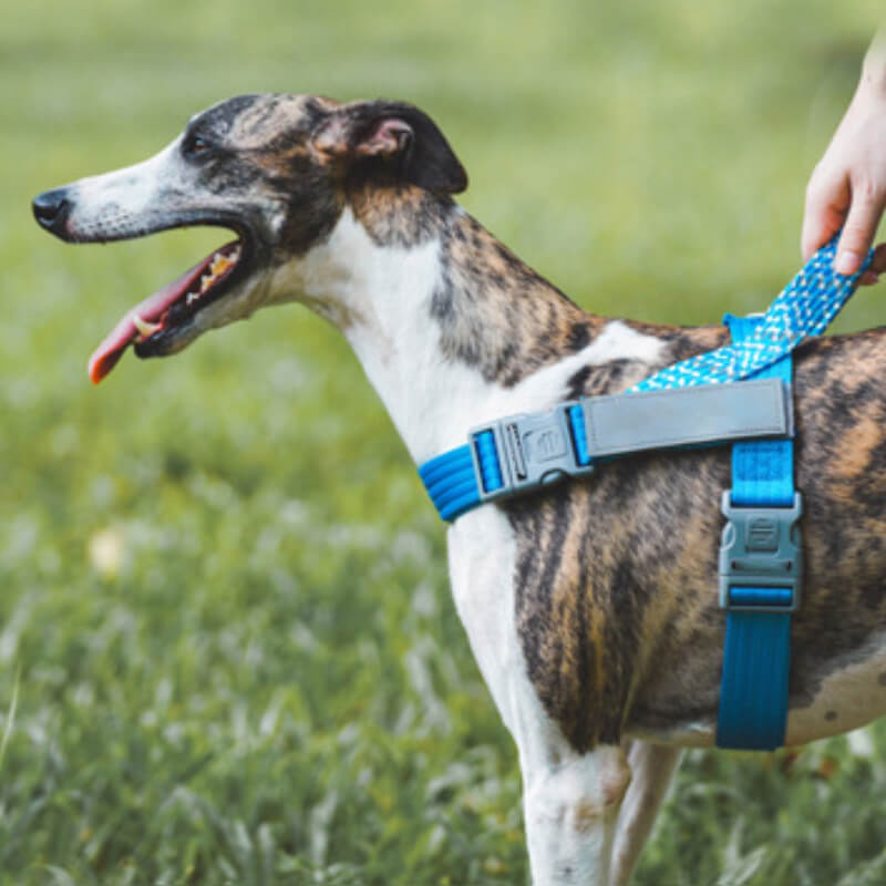 No - Pull Reflective Large Dog Harness – Heavy - Duty, Adjustable - mafooouk